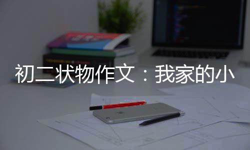小龟我状物作文初二家的